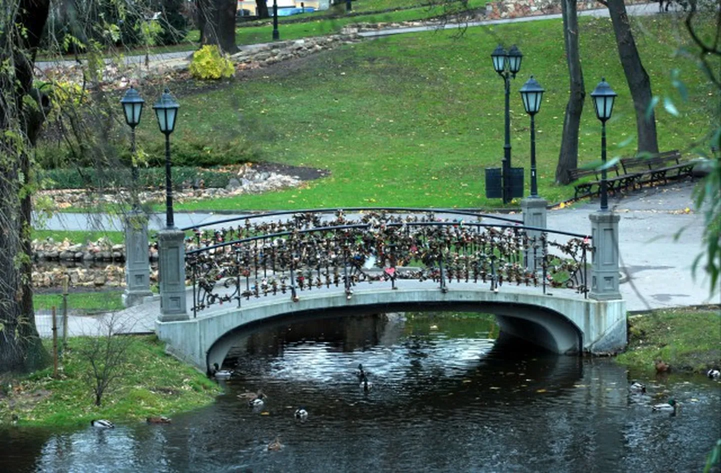 Raksta foto