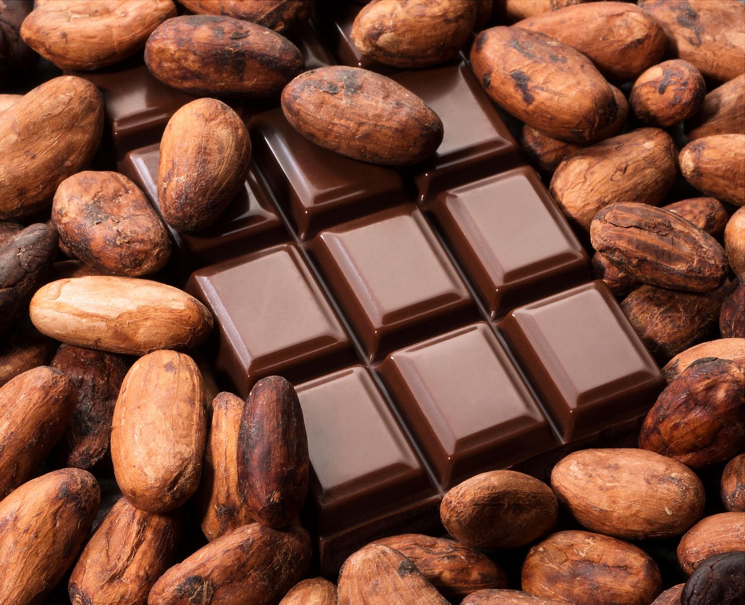 Šokolaad ja kakaooad.