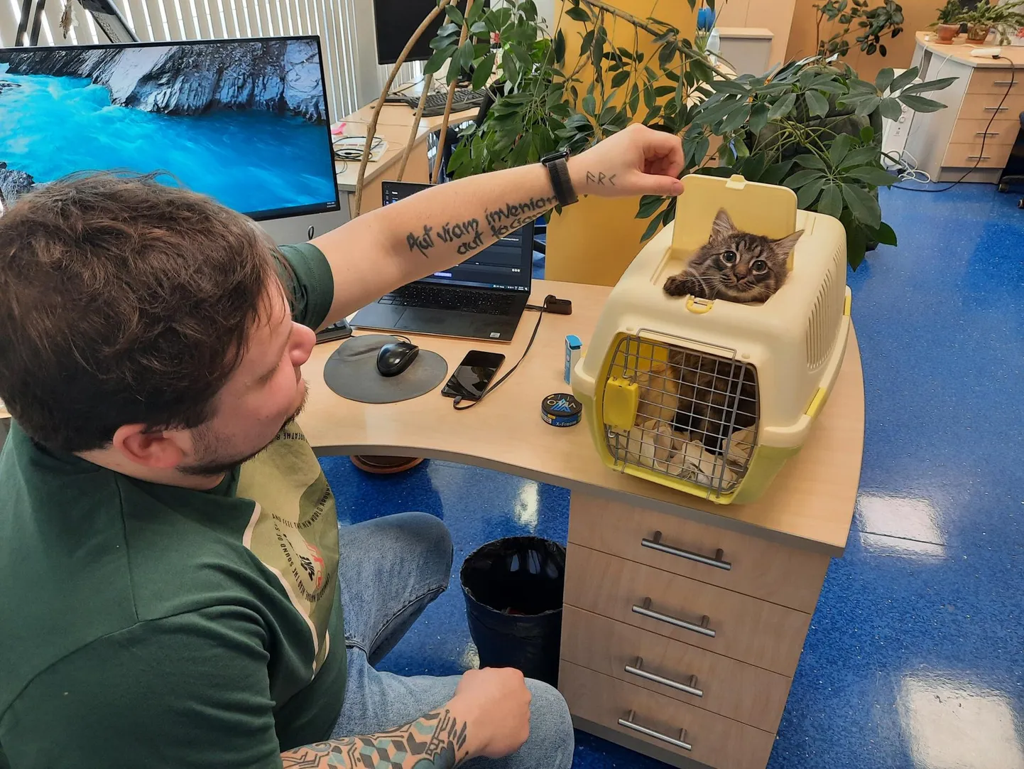 Töövarjupäev, spetsiaalselt loomadele.