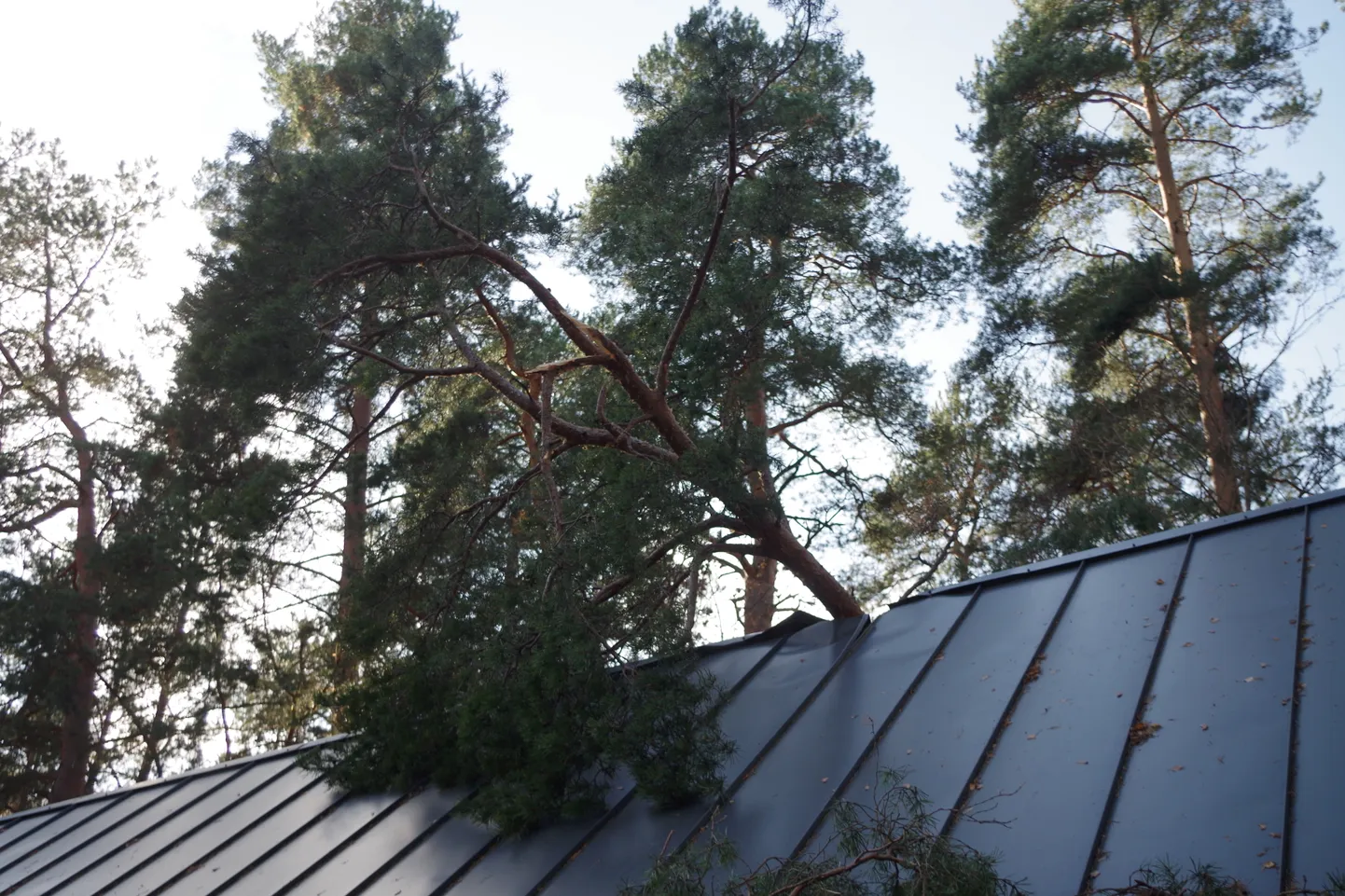 Torm. Pilt on illustratiivne.