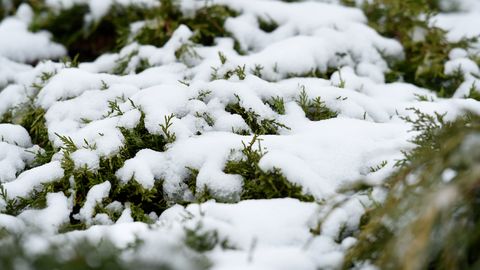 В субботу ожидаются снег, туман и штормовой ветер