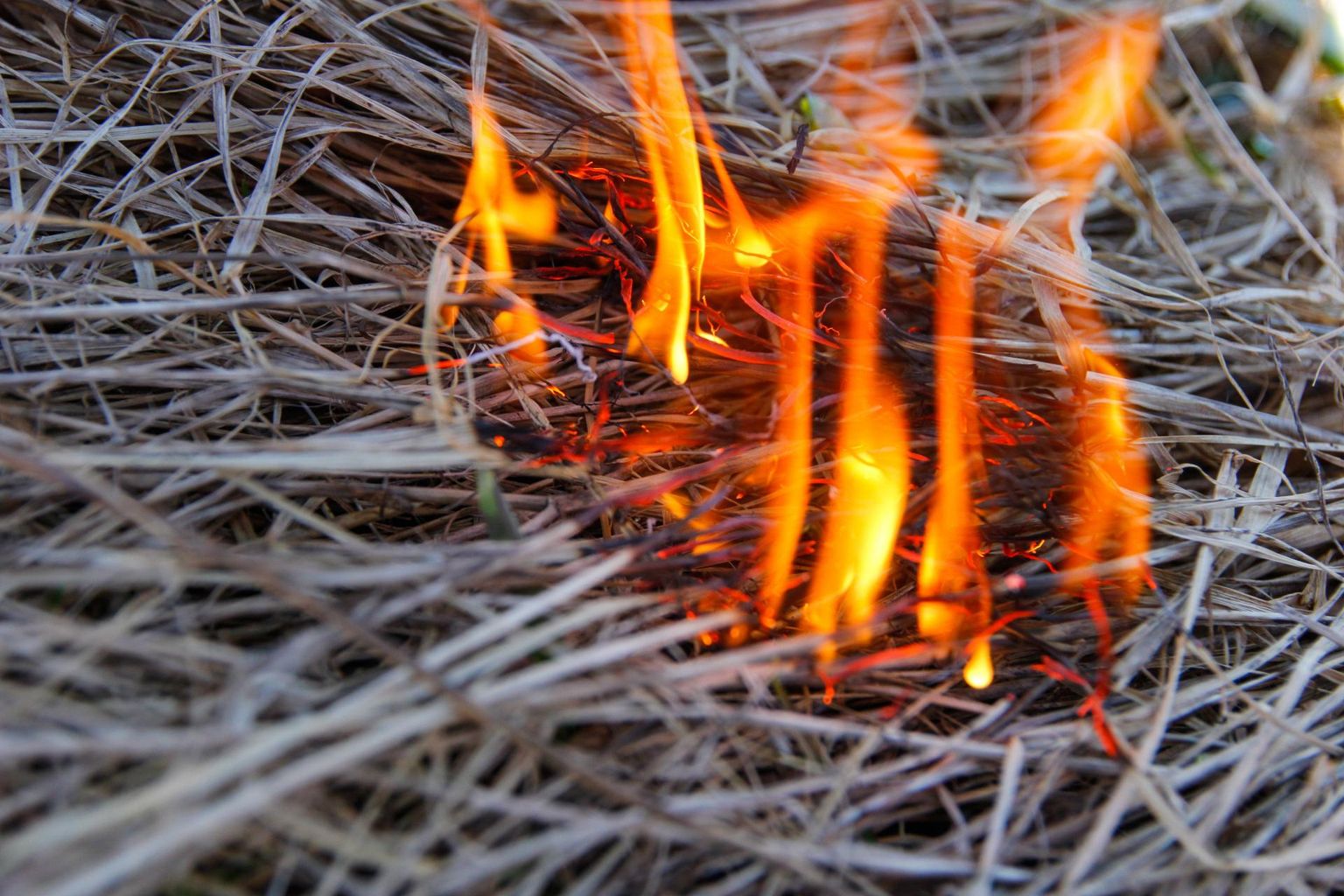 Kulu põletamine on Eestis aasta ringi keelatud.