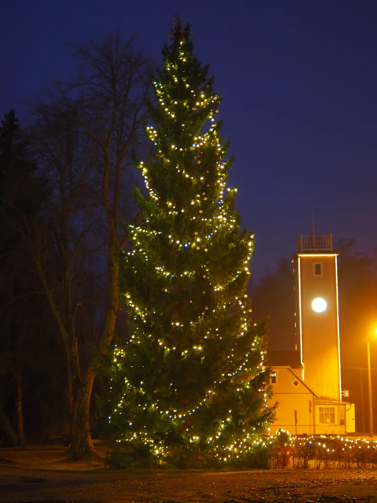 Kärdla jõulupuu, 2019.