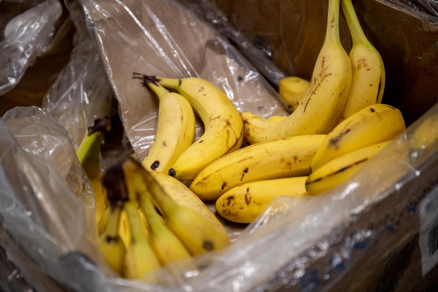 Самые дешевые бананы стоят 95 центов.