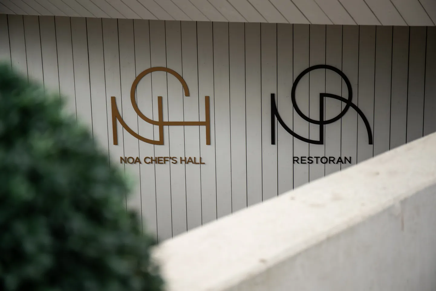 NOA restoran.