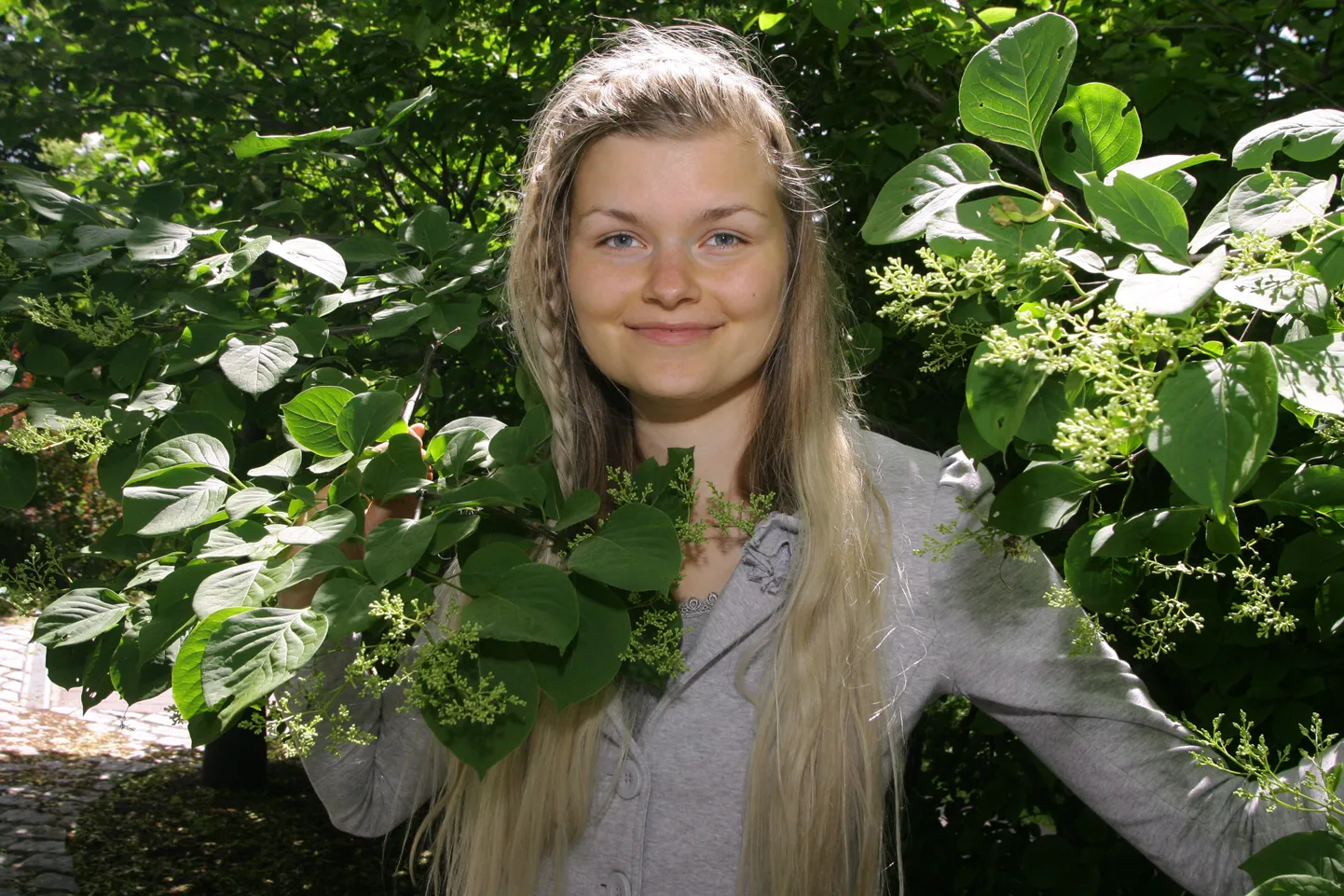 Mari Metsallik