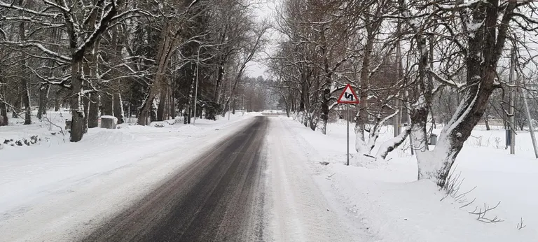 Ohtlik kurv Roelas sai mitu uut hoiatavat liiklusmärki. Sel aastal õnnetustesse sattunud juhid lähenesid kurvile just siit.