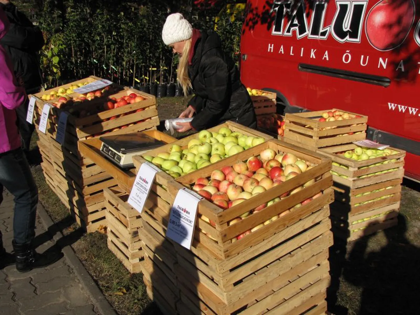 Artikli foto