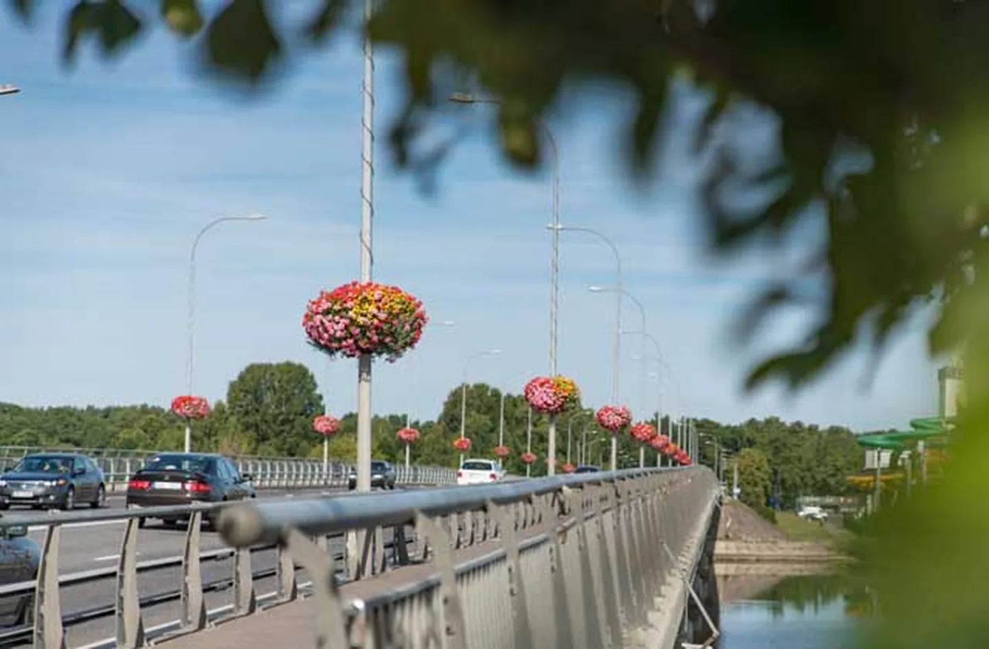 Raksta foto