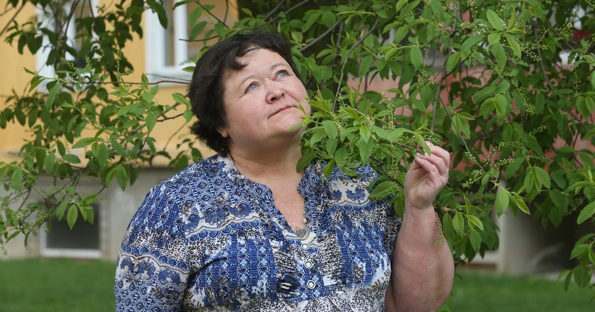 Piimane idüll – kas viimane idüll?