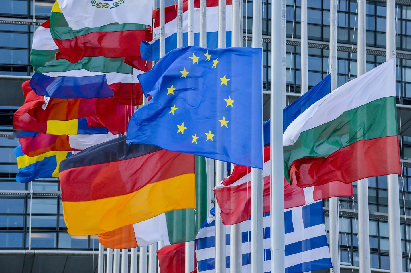 Euroopa lipud.
