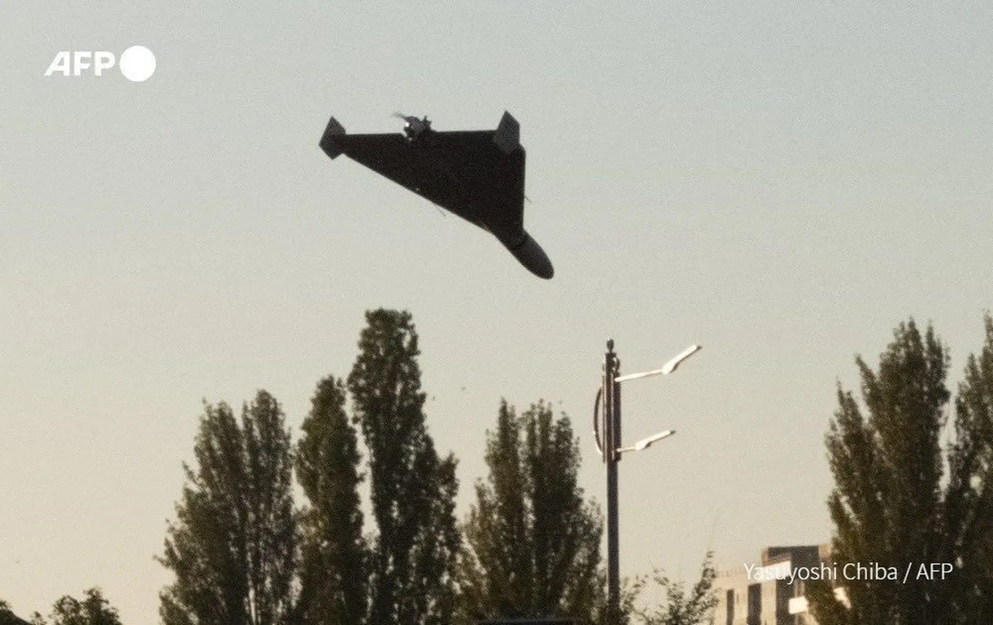 Фото статьи