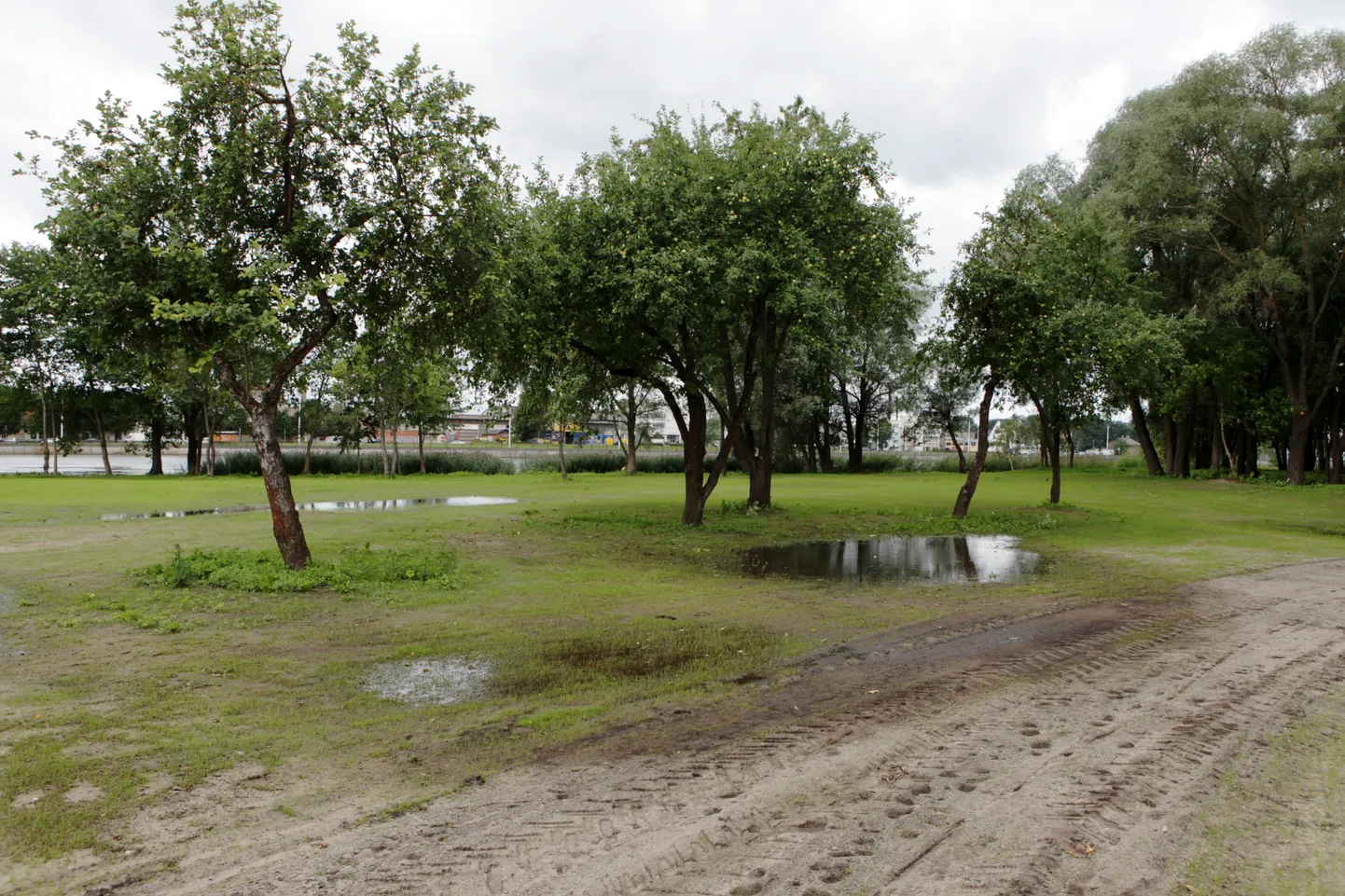 Фото статьи