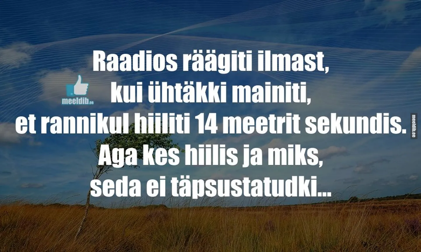 Artikli foto