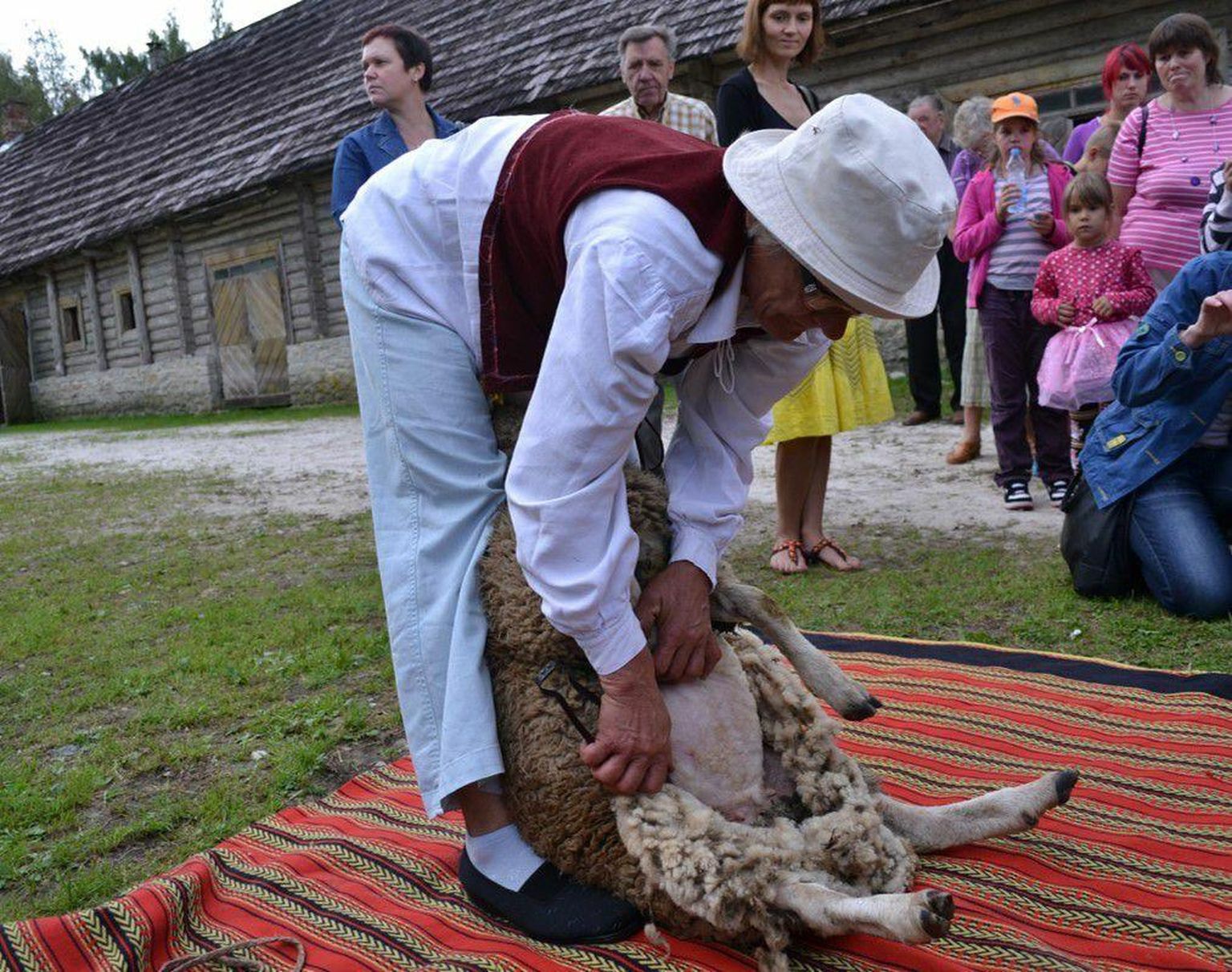 Tänavu on talupäevade kõrval muuseumis ka lamba- ja hobusepäev, et rahvast kokku tuua.
