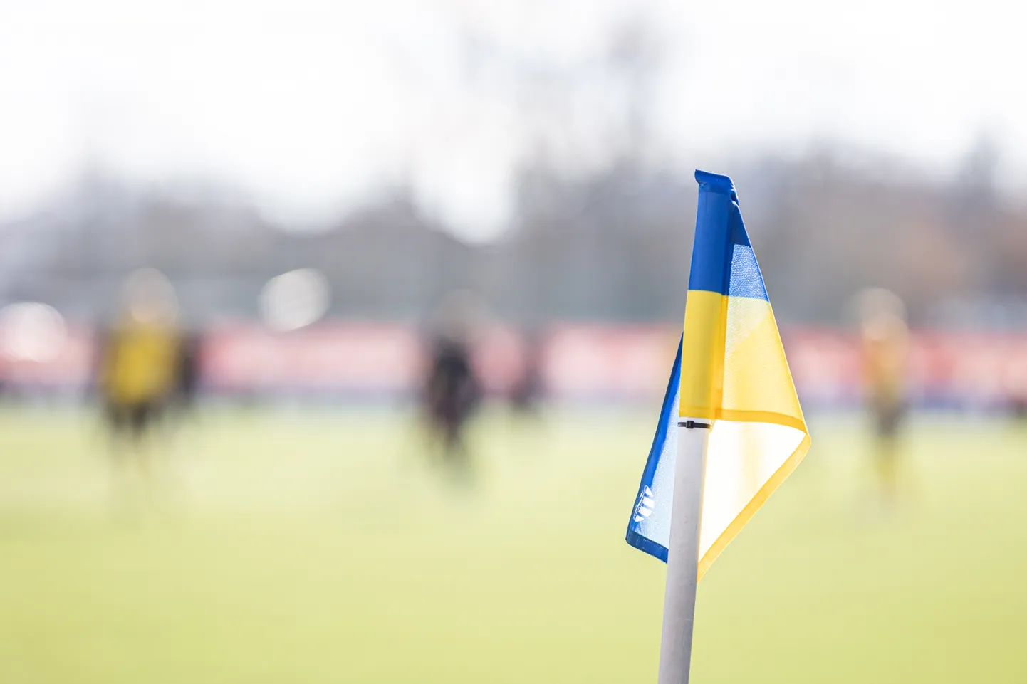 Ukraina värvides nurgalipp. Pilt on illustreeriv.
