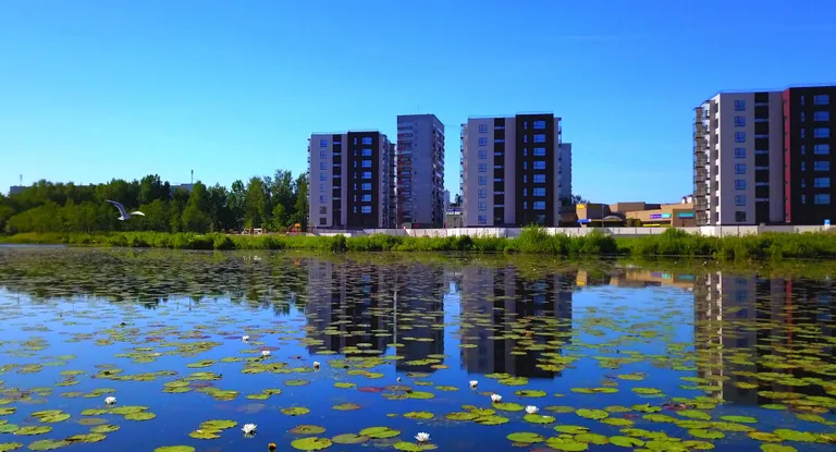 Raksta foto