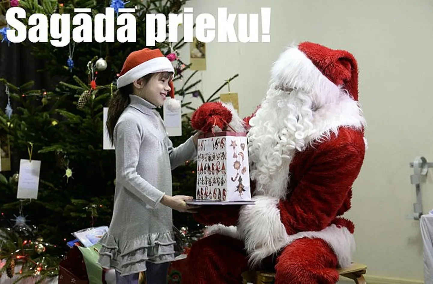 Raksta foto
