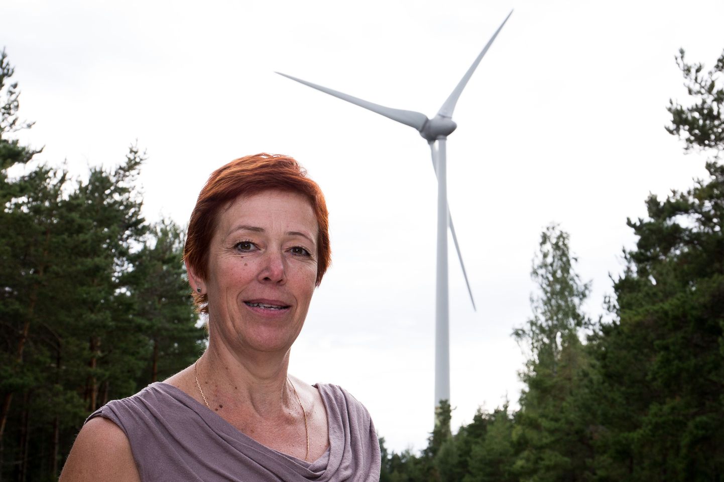 Hanilas maakodu omav Reet Raukas seljatas riigikohtus Esivere tuulepargi omaniku Skinest Energia.
