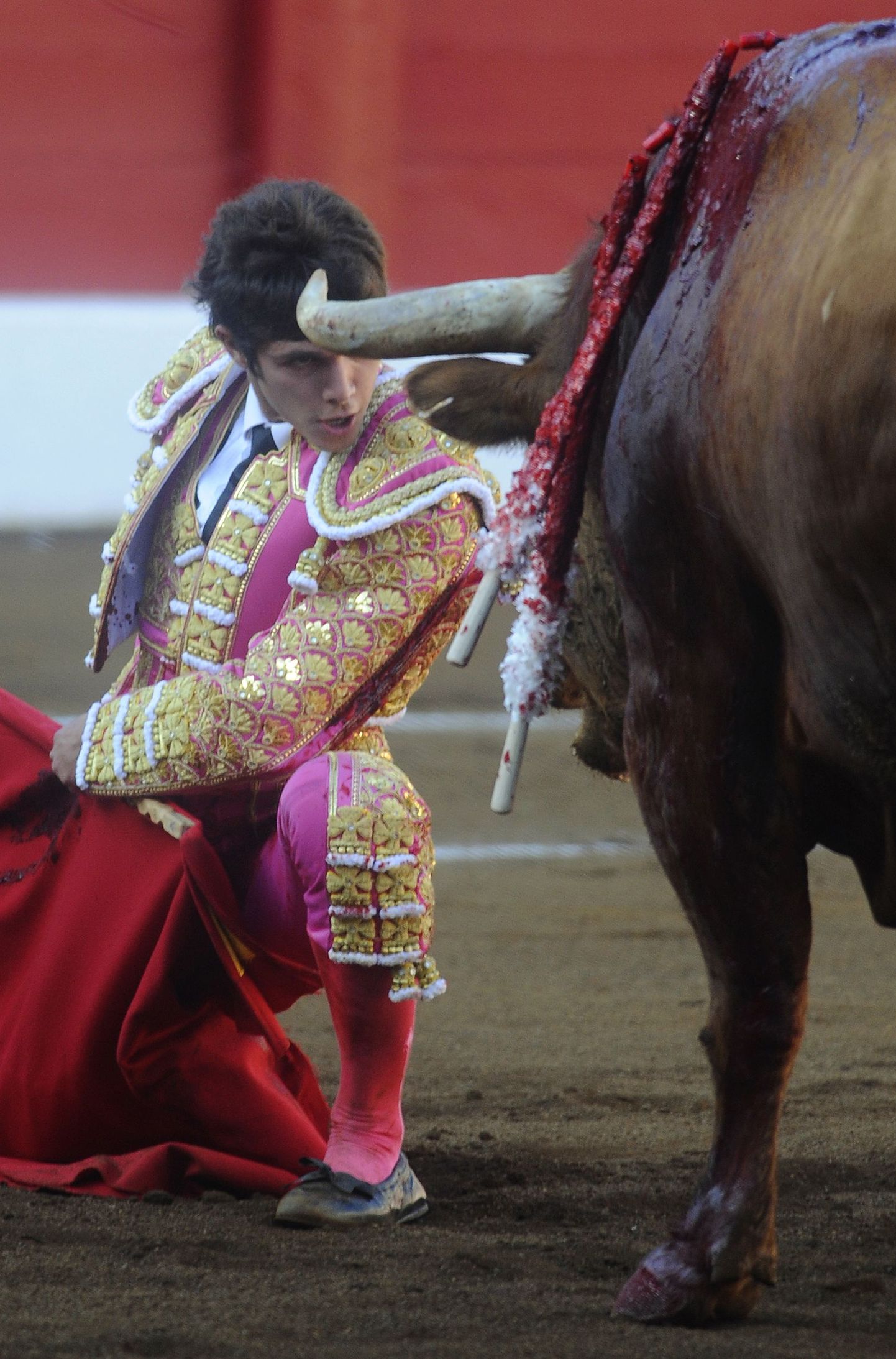 Kataloonia parlament hääletab härjavõitluse keelamise üle