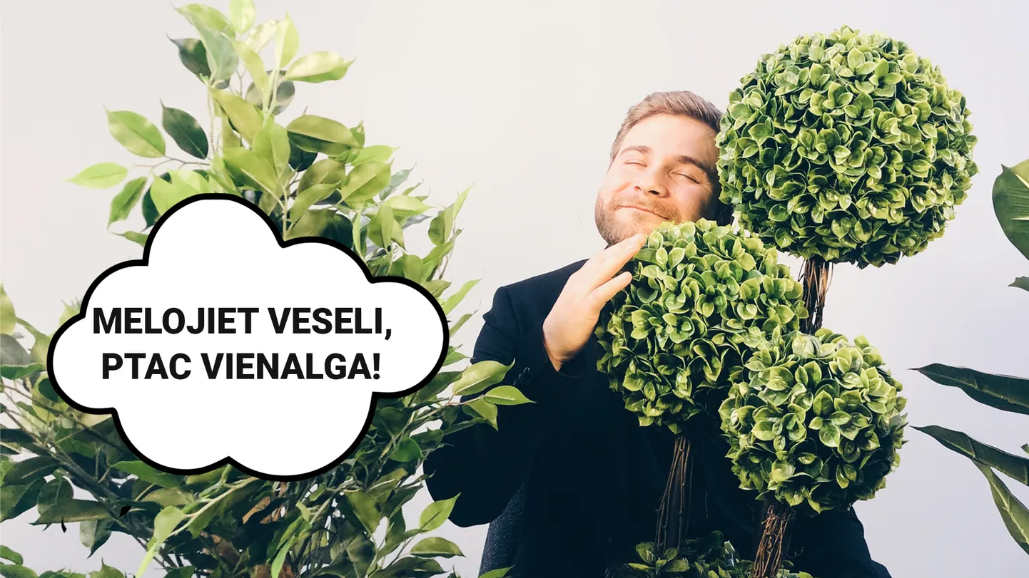 Raksta foto