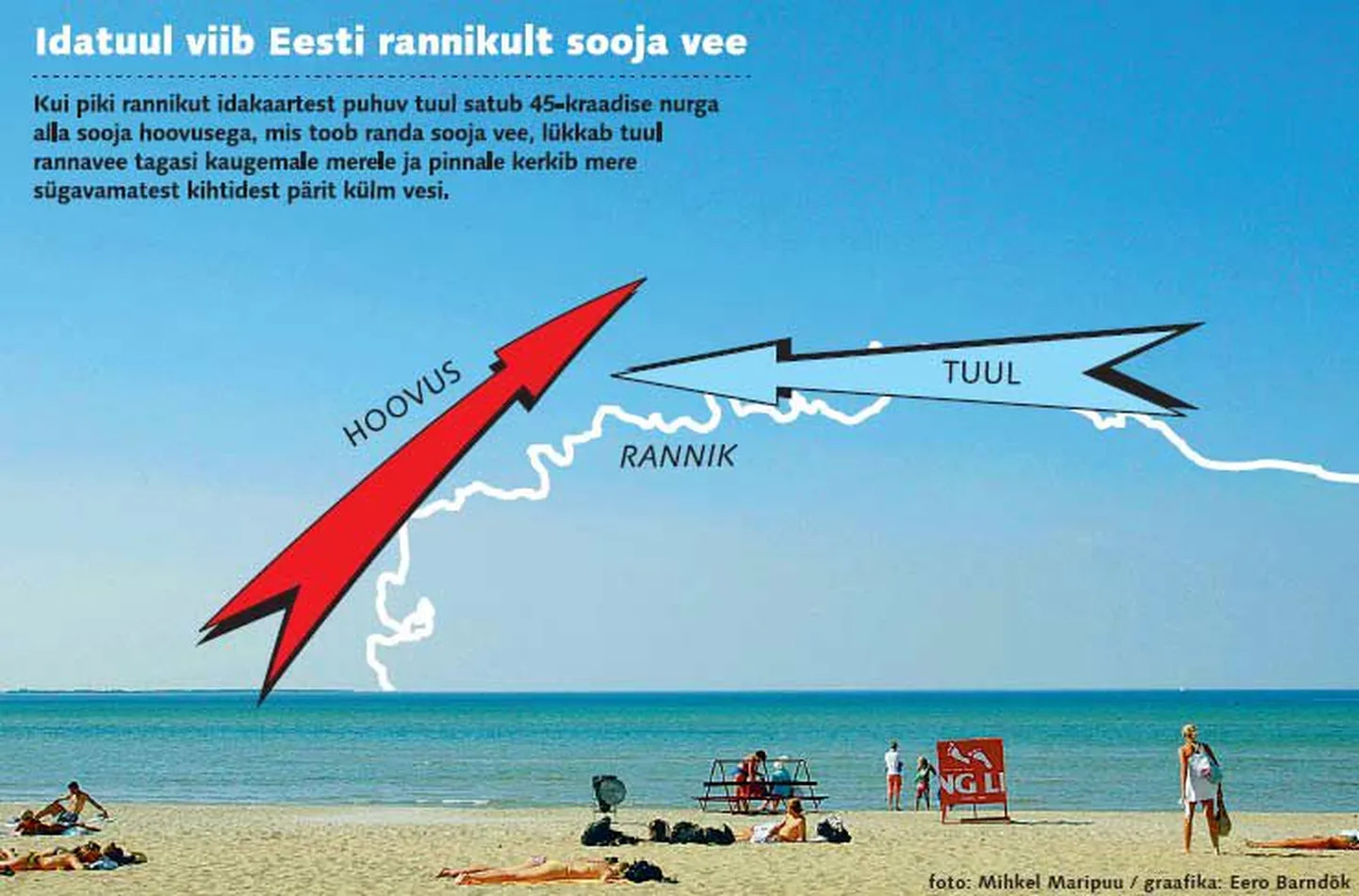 Artikli foto