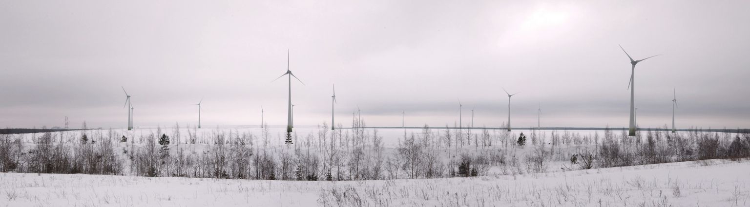 Последний ветропарк построили в Эстонии почти десять лет назад, когда появился ветропарк "Eesti Energia" на зольном плато Балтийской электростанции близ Нарвы.