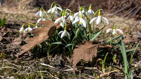 Kuhu minna nädalavahetusel Lõuna-Eestis?