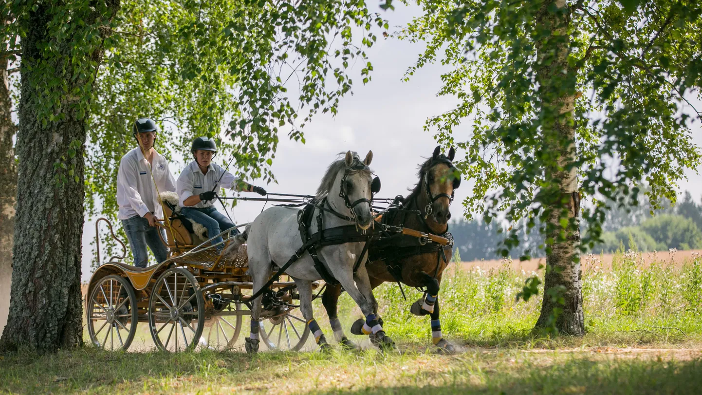Pille-Riin Roosileht ponipaariga Olustveres 2018. Foto: Merike Udrik-Õispuu