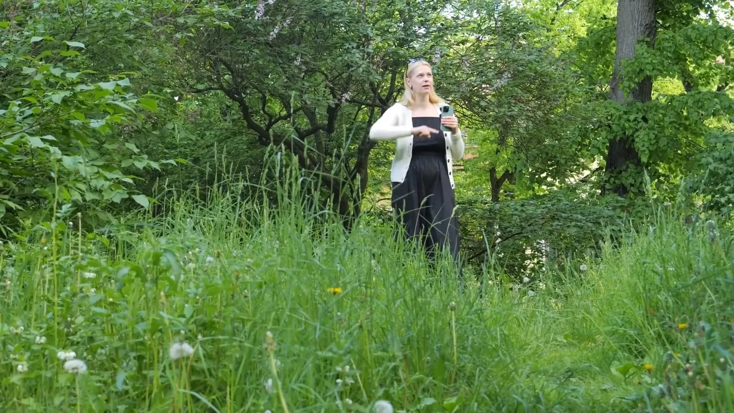 Katrin Lust. Schnelli tiigi park.