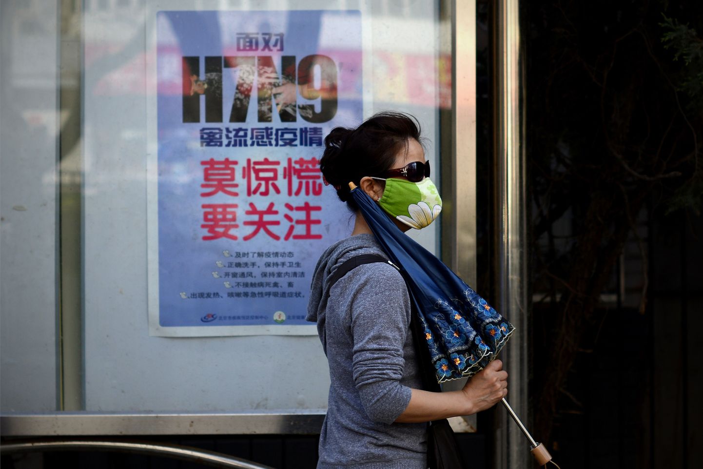 Maski kandev naine möödub Pekingi tänavatel plakatist, mis selgitab, kuidas vältida linnugrippi nakatumist.