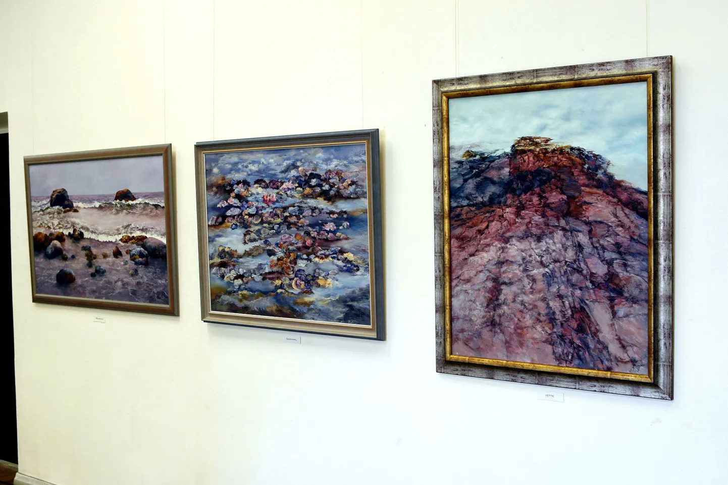 Pildil on kunstnik Evi Kauri juubelinäitus