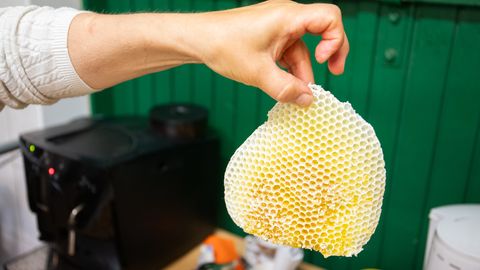 Pärnu ja Pärnumaa üritused laupäeval, 27. juunil