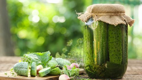 Соберете гору вкуснейших огурцов летом: приметы на 27 мая и что нельзя делать