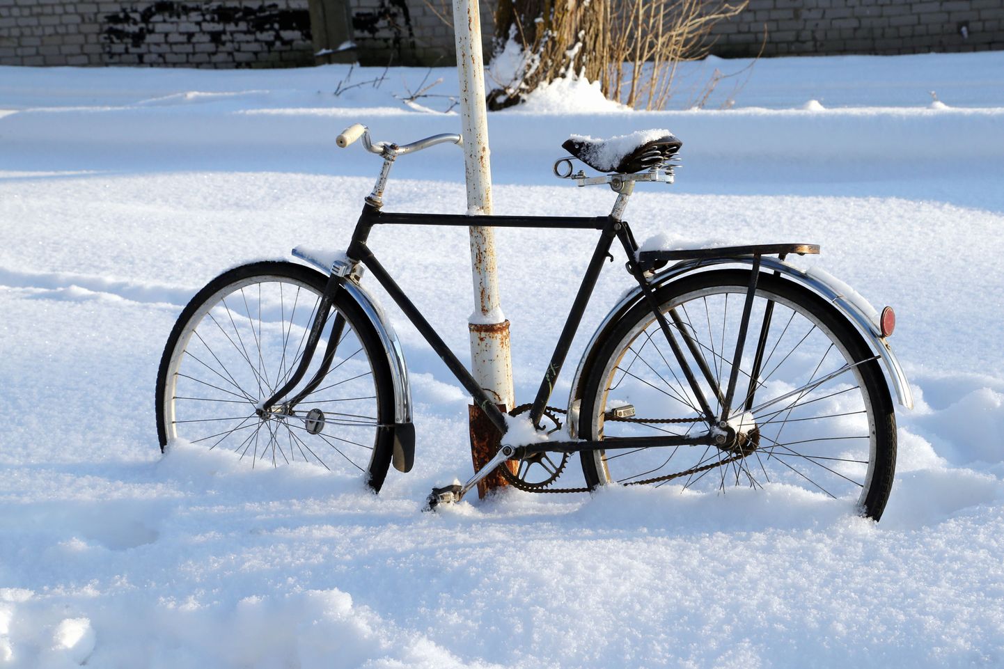 Jalgratas lumes.