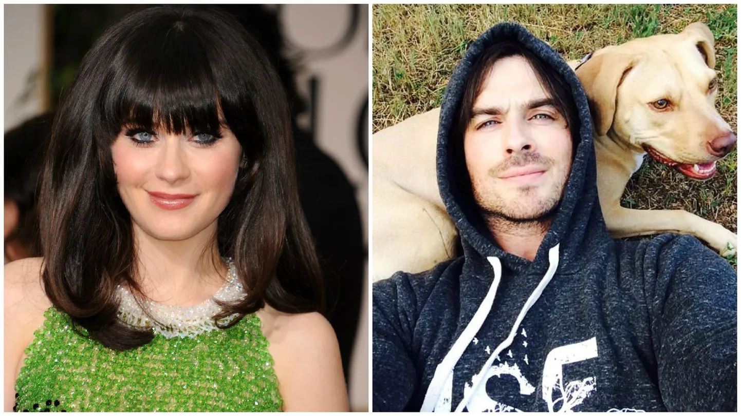 Välimuse järgi peaksid Zoey Deschanel ja Ian Somerhalder olema paljude silmis ideaalsed kaaslased. Suurem osa naistest sõnas, et nende jaoks on tähtis ka see, et mehel oleks koer.