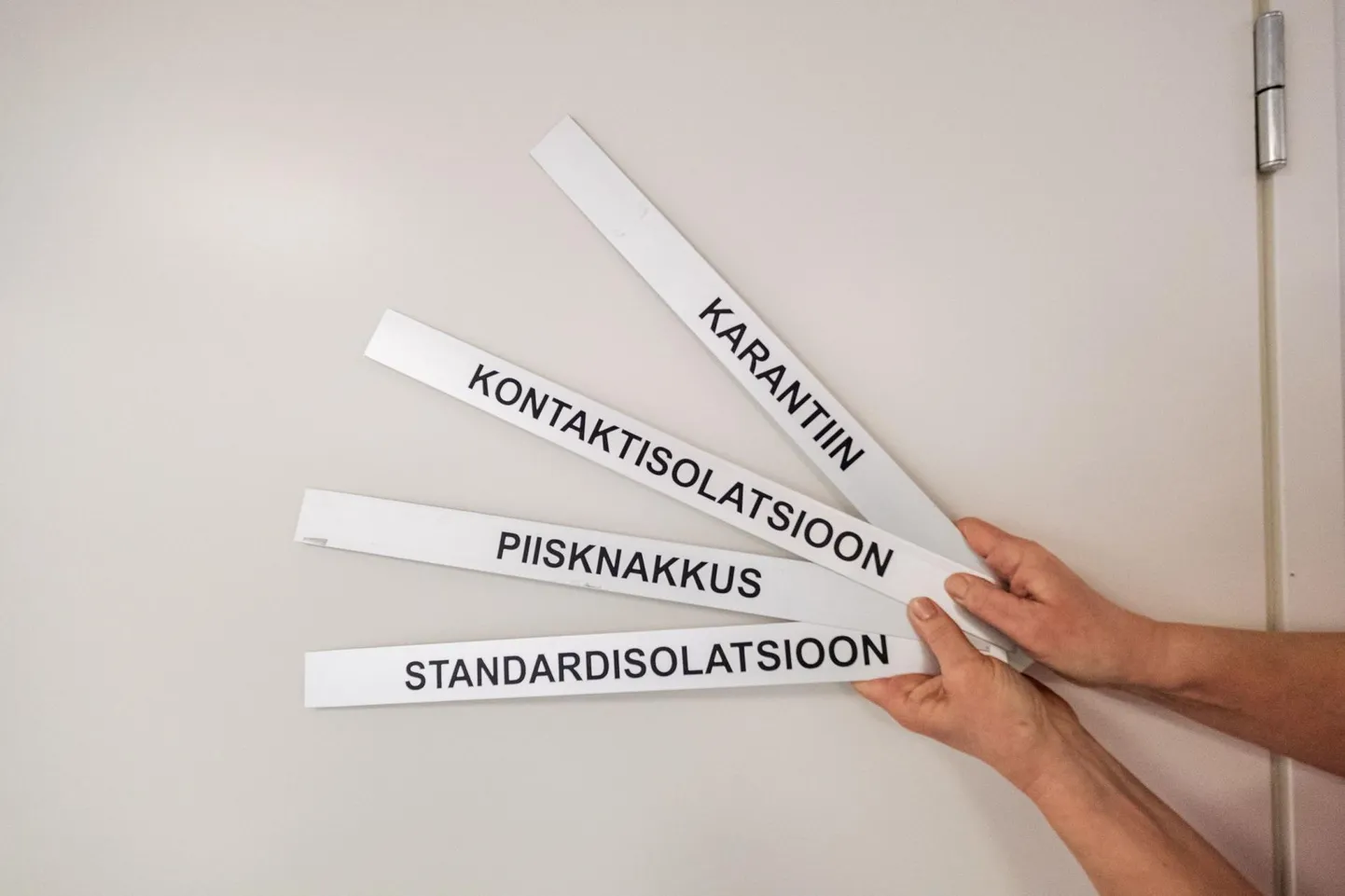 Viimase 14 päeva haigestumus 100 000 inimese kohta on kodumaakonnas 53.