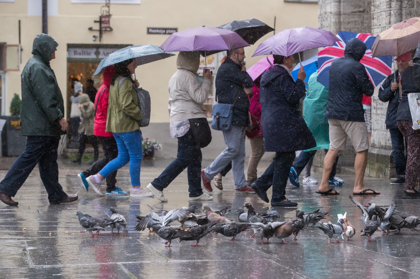 Vihmane pühapäev Tallinnas.