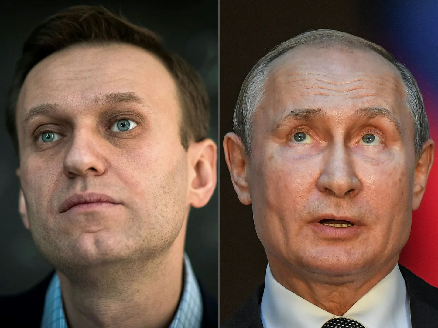 Aleksejs Navaļnijs un Vladimirs Putins