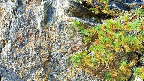 Paadiretkel olnud matkasellid leidsid Helsingi lähedal kaljuseinalt erakordse arheoloogilise avastuse