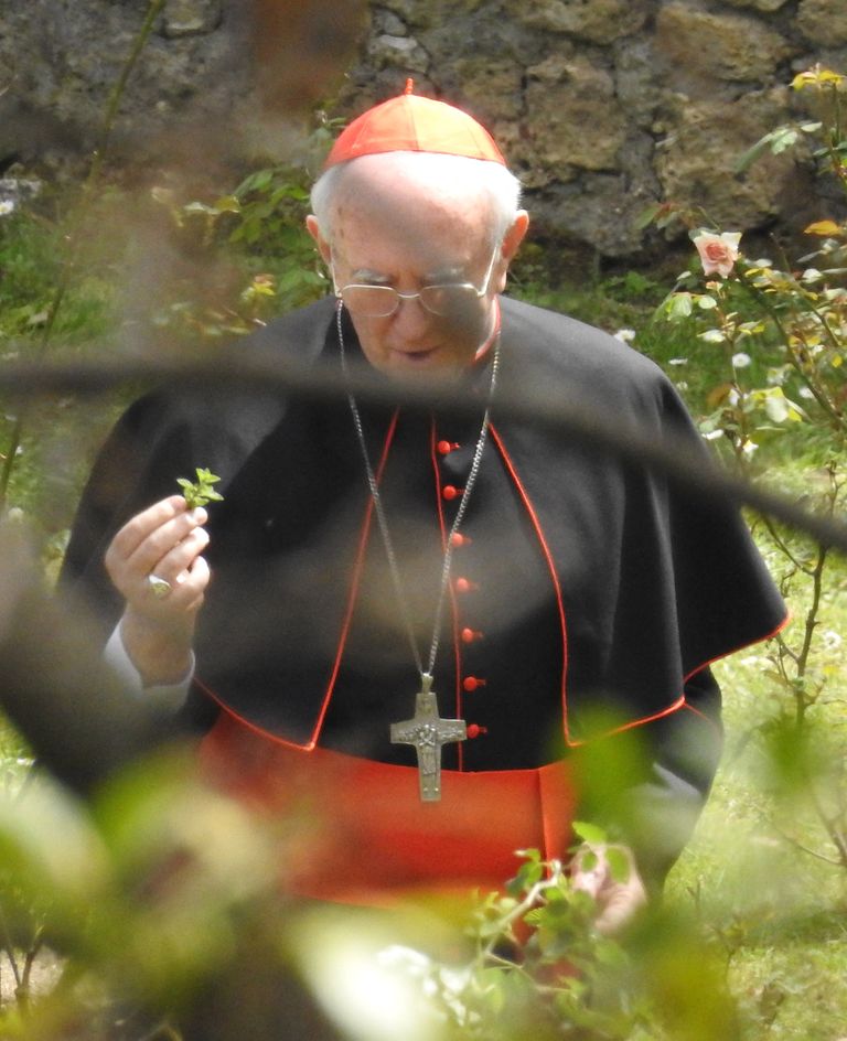 Johnathan Pryce kardinal Jorge Mario Bergoglio rollis