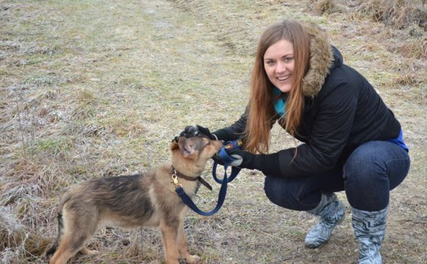 Mailiis Meitsar külastas jõulude ajal koos õpilastega Virumaa loomade varjupaika.