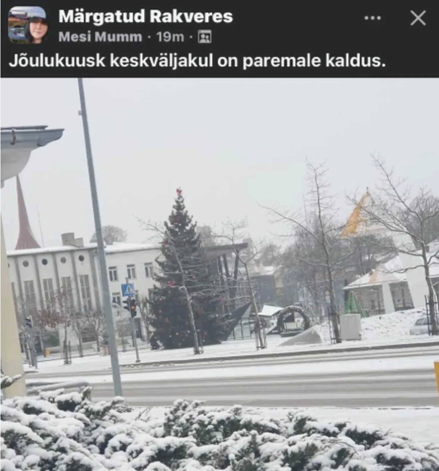 Это зависит от точки зрения: по мнению некоторых, ель прямая, но на фото, опубликованном в соцсетях, она кривая.