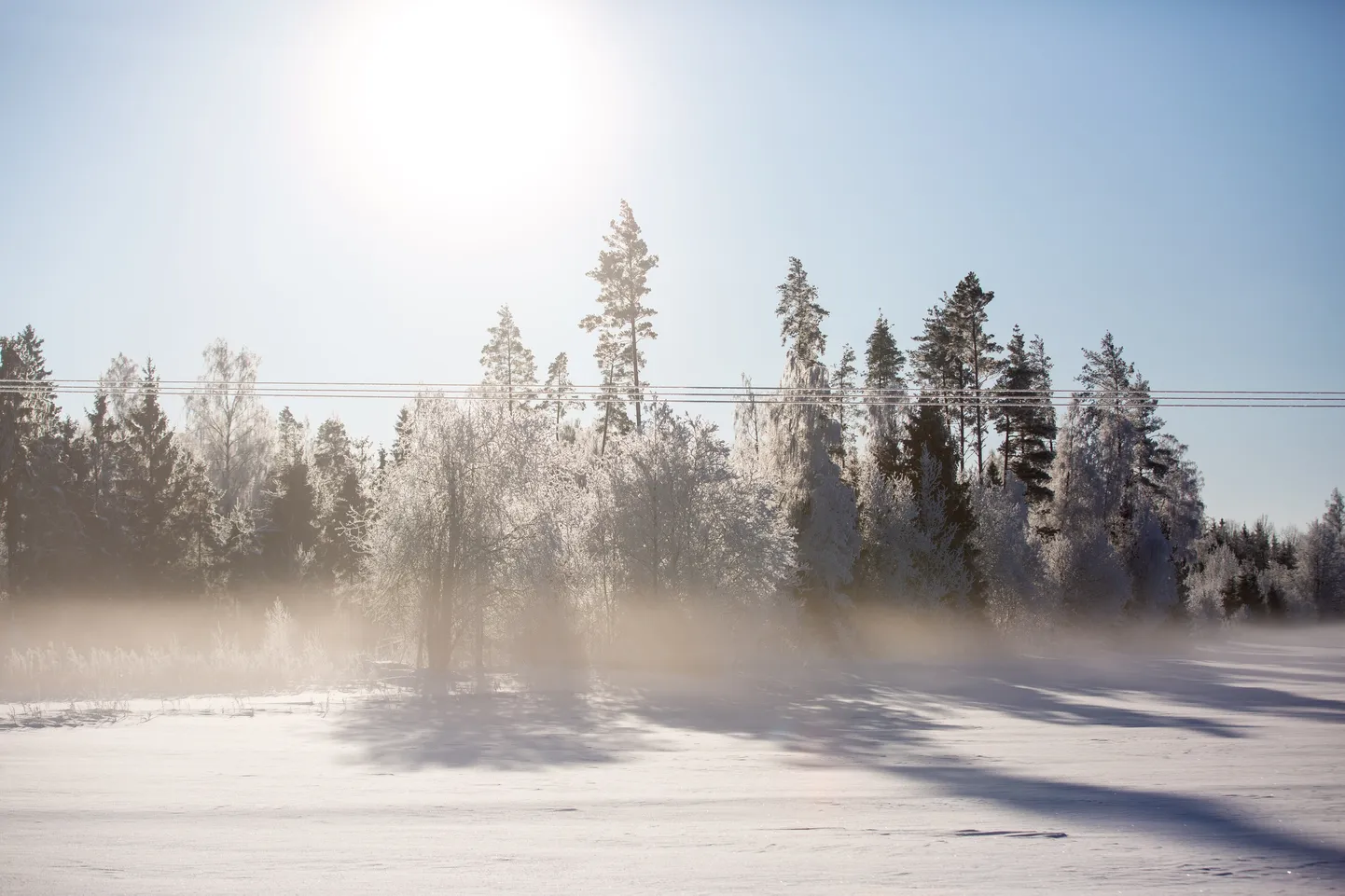 Talv Järvamaal