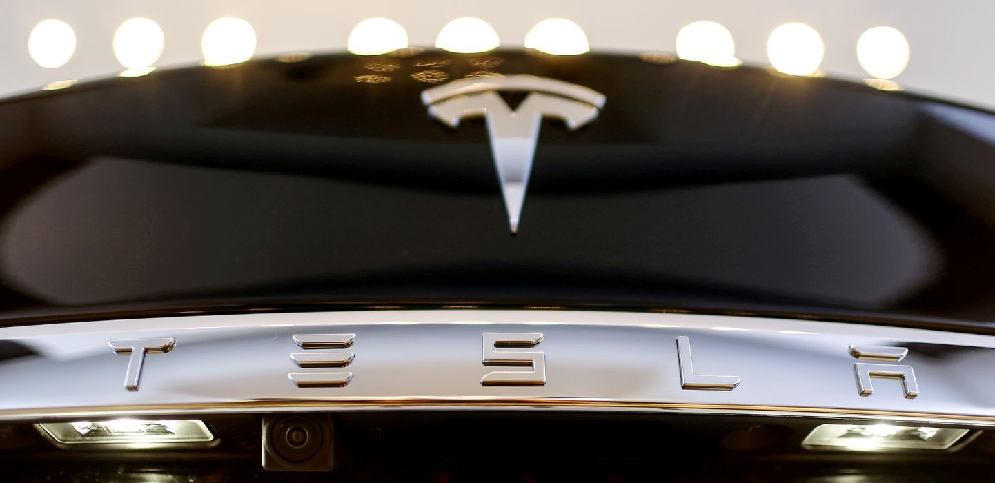 Tesla logo Model S-i peal.