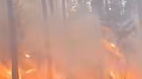 VIDEO ⟩ Dabas liegumā 