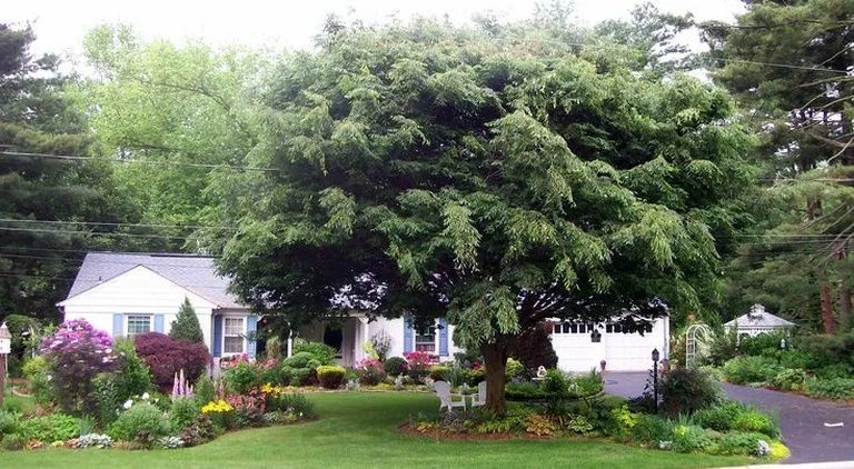 Фото: ourfairfieldhomeandgarden.com