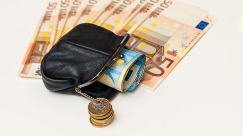 Palgaks 2800 eurot: Vallavalitsus asub järjekordse ametniku otsingutele
