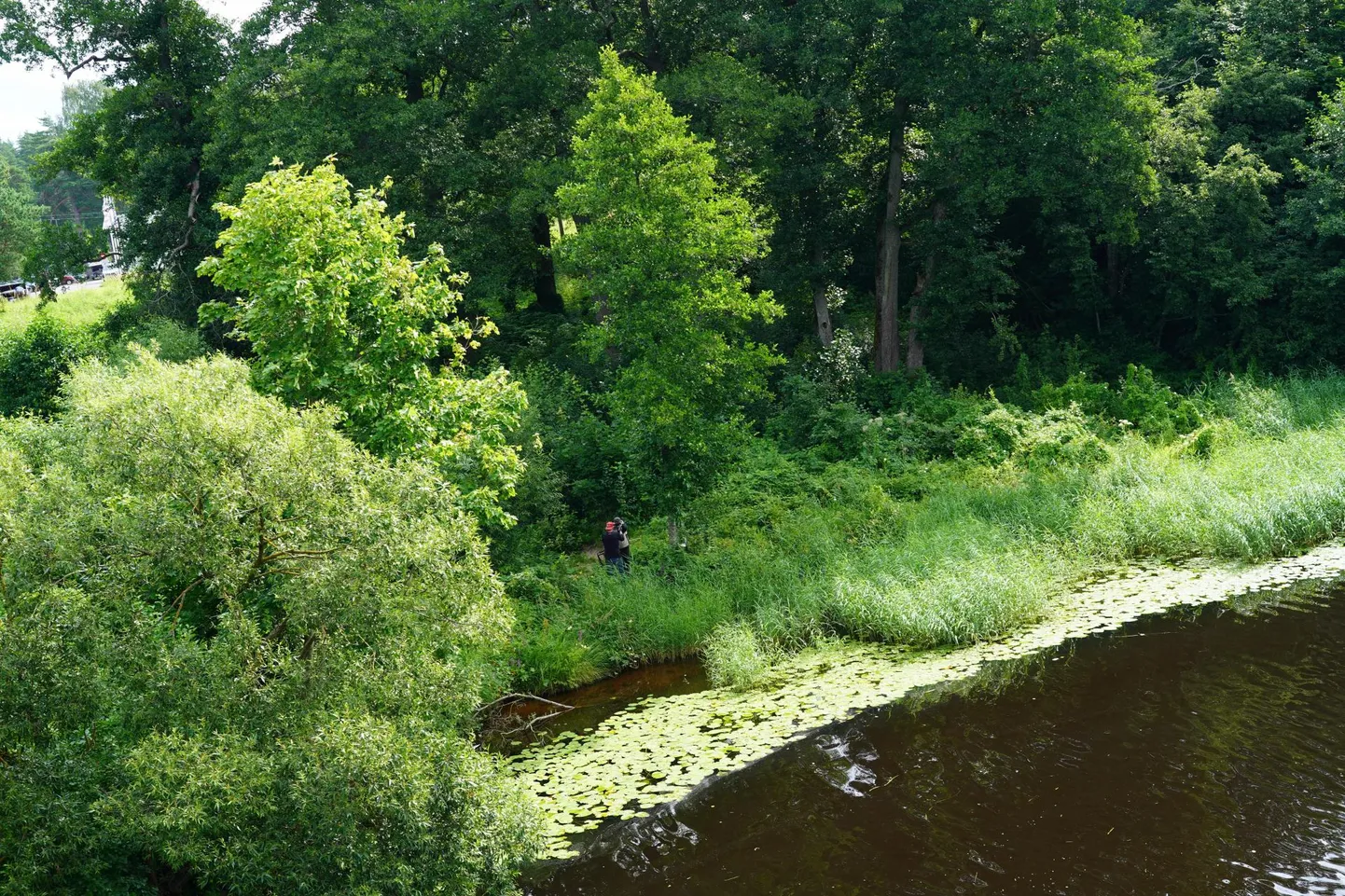 Geoarheoloogiline sondeerimine: arheoloogiaprofessor Aivar Kriiska arvates ei ole uuringud tööd, mis ilupilti pakuvad.