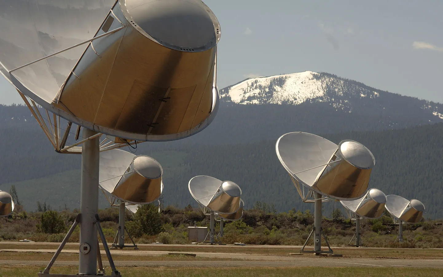 Need SETI Instituudi Alleni teleskoobid on suunatud maavälise elu otsingutele, kuid kõrgelt arenenud tehnoloogiat ei loodeta (veel) leida.